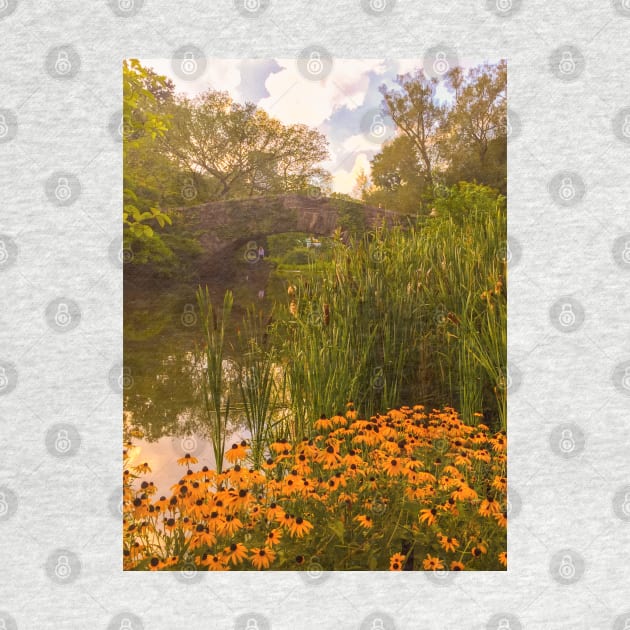 Central Park Flowers Bridge Manhattan NYC by eleonoraingrid